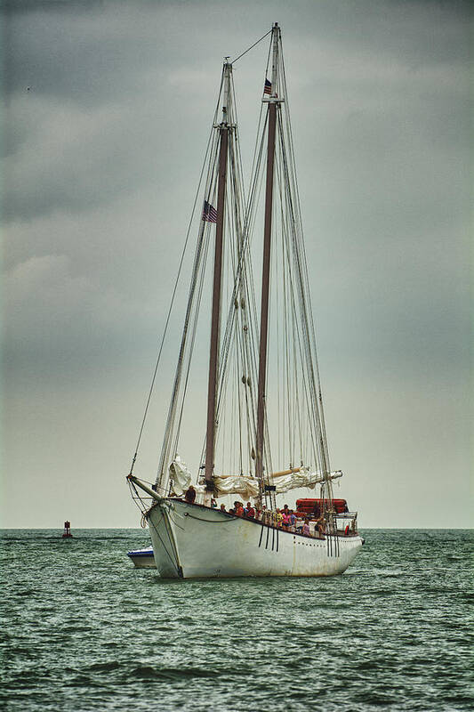 Tall Ships Art Print featuring the photograph Tall Ships Lake Erie by Kevin Cable