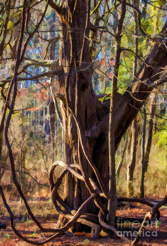 Tangled Art Print featuring the photograph Tangled Vines on Tree by Roberta Byram