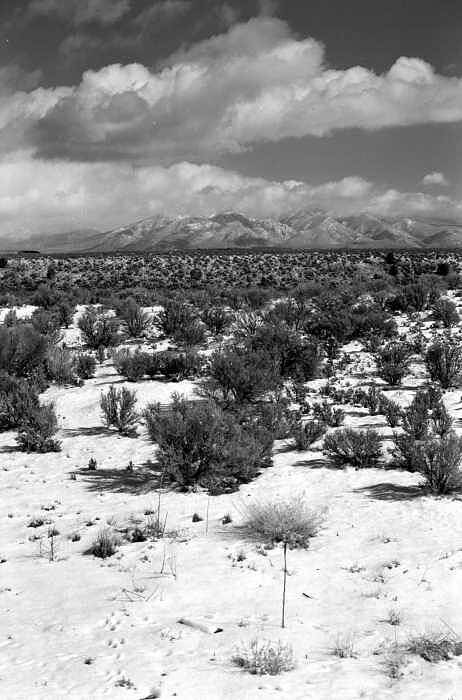 Snow Art Print featuring the photograph Taos Snowfall by Susan Chandler