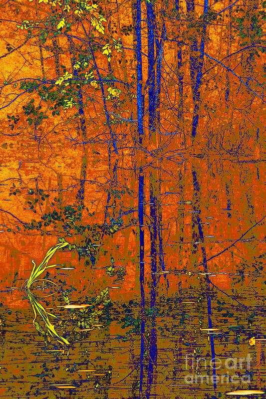 Reflections Art Print featuring the photograph Tapestry by Steve Warnstaff