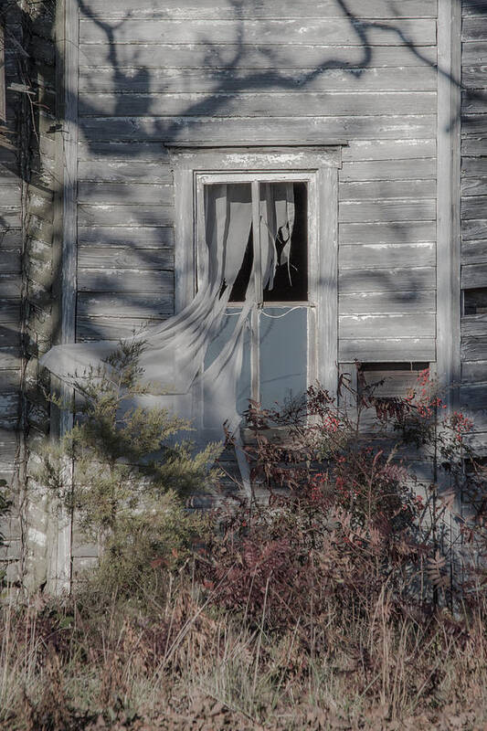 Currituck County Art Print featuring the photograph Tattered Curtain by Cyndi Goetcheus Sarfan