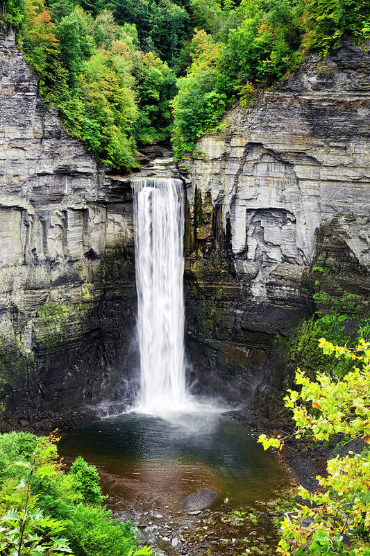 Waterfall Art Print featuring the photograph Taughannock Falls View from the Top by Christina Rollo