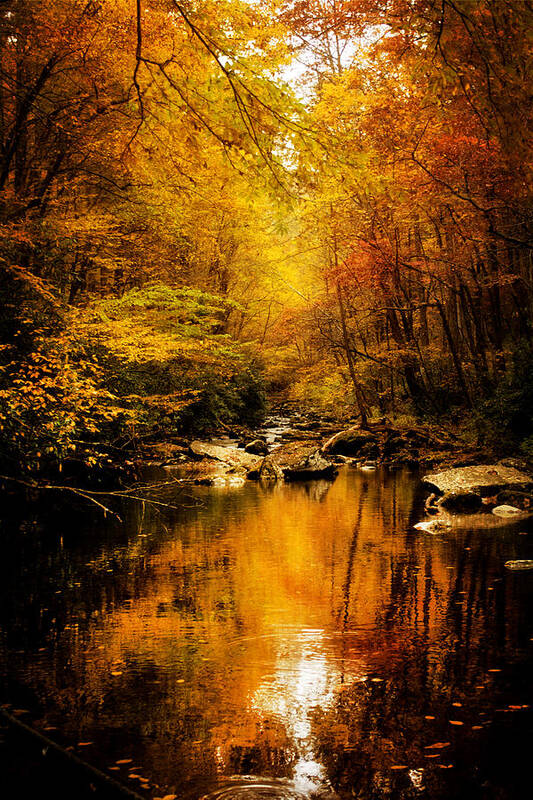 Mountains Art Print featuring the photograph Tennessee Mountains Autumn by Greg and Chrystal Mimbs
