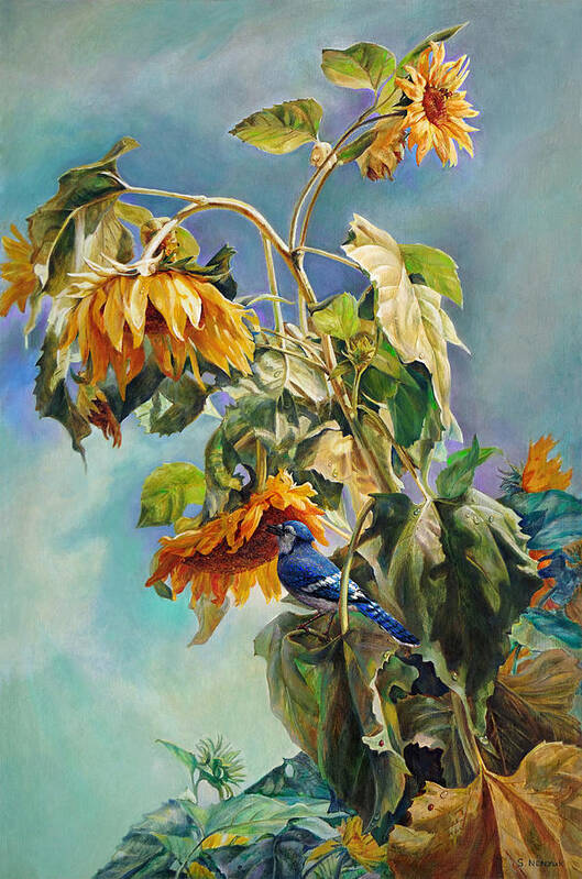Sunflower Art Print featuring the painting The Blue Jay who came to breakfast by Svitozar Nenyuk