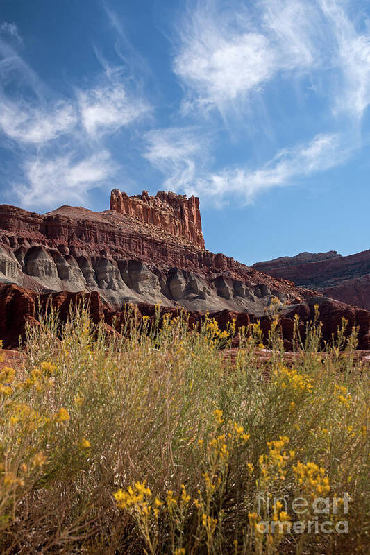 Castle Art Print featuring the photograph The Castle Capital Reef by Cindy Murphy - NightVisions