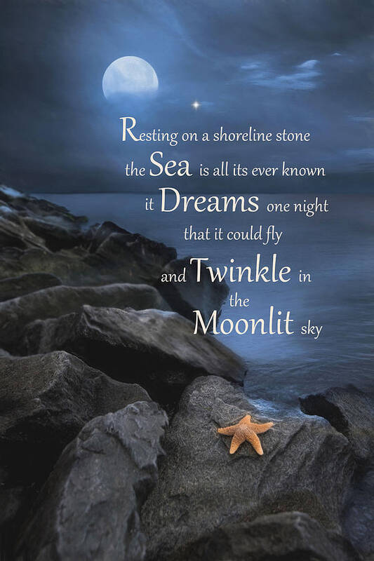 Sea Star Art Print featuring the photograph The Dream by Robin-Lee Vieira