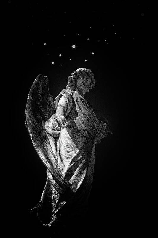 Angels Art Print featuring the photograph The Messenger by Jim Cook