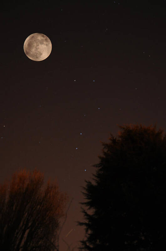 Moon Art Print featuring the photograph The Moon and Ursa Major by Chris Day