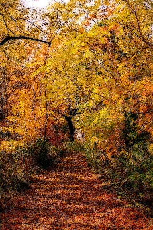 Fall Art Print featuring the photograph The path by Pat Carosone