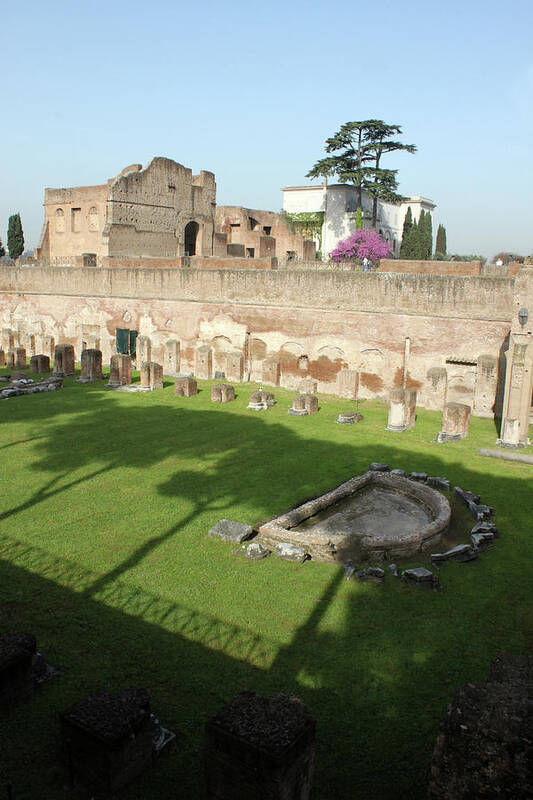 Rome Art Print featuring the photograph The Three Trees by Munir Alawi