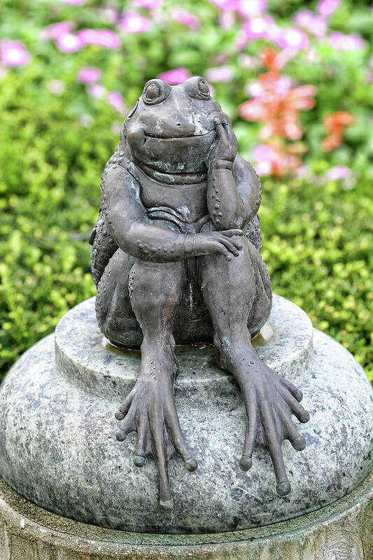 Frog Art Print featuring the photograph Thinking by Shari Jardina