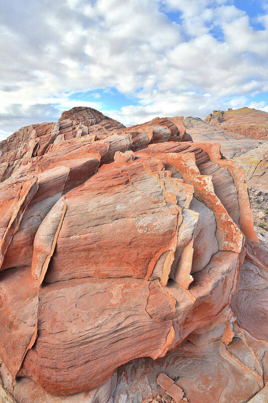 Valley Of Fire State Park Art Print featuring the photograph Top of the World at Valley of Fire by Ray Mathis