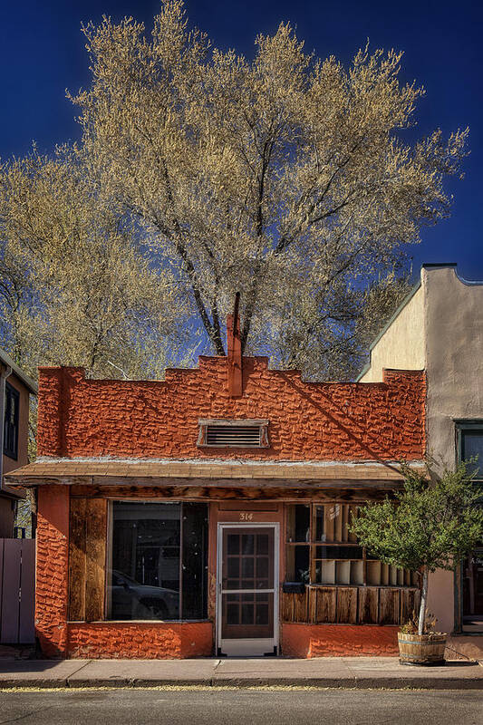 Photography Art Print featuring the photograph Tree  House by Diana Powell