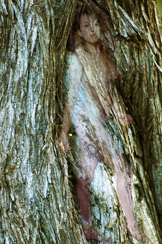 Nude Art Print featuring the photograph Tree Nymph in Vancouver by Richard Henne