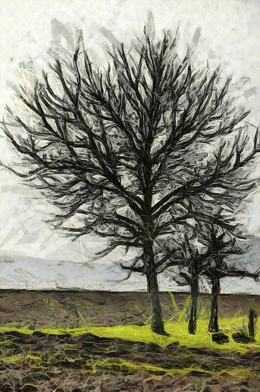 Trees Art Print featuring the photograph Trees 1 by Hartmut Knisel