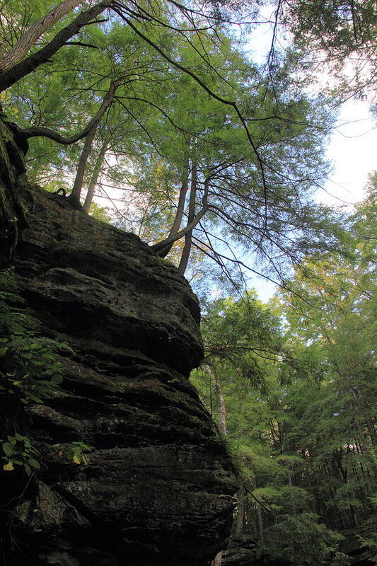 Old Man's Cave Art Print featuring the photograph Trees Hanging Over Cliff by Angela Murdock