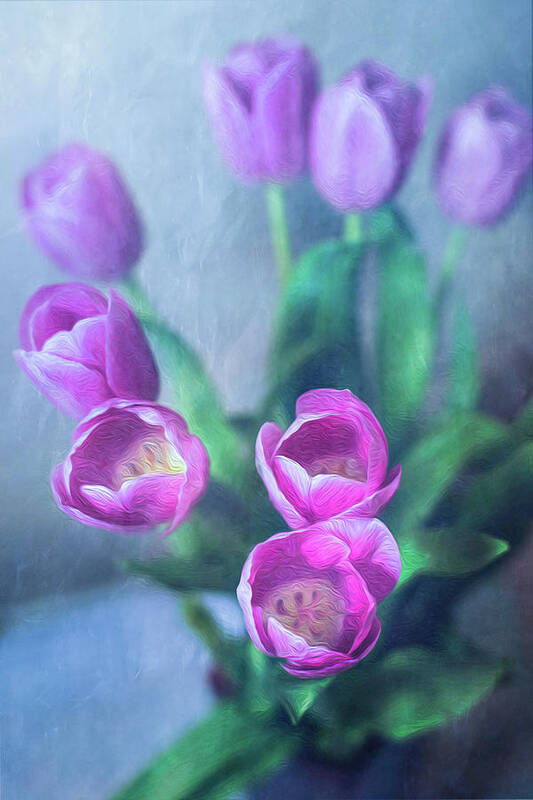 Purple Art Print featuring the photograph Tulips Study #1 by Elvira Pinkhas