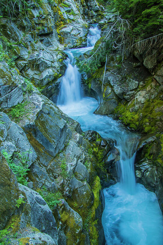 Mt Rainier Art Print featuring the photograph Tumbling by Doug Scrima