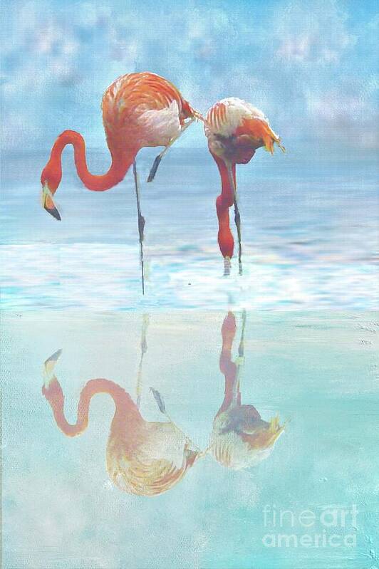 Flamingo Art Print featuring the digital art Two Flamingos Searching for Food by Janette Boyd