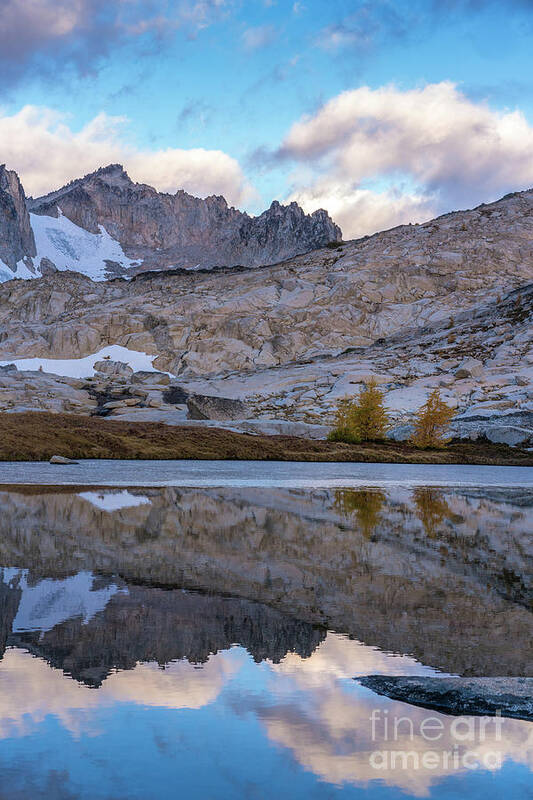 Enchantments Art Print featuring the photograph Two Larches by Mike Reid