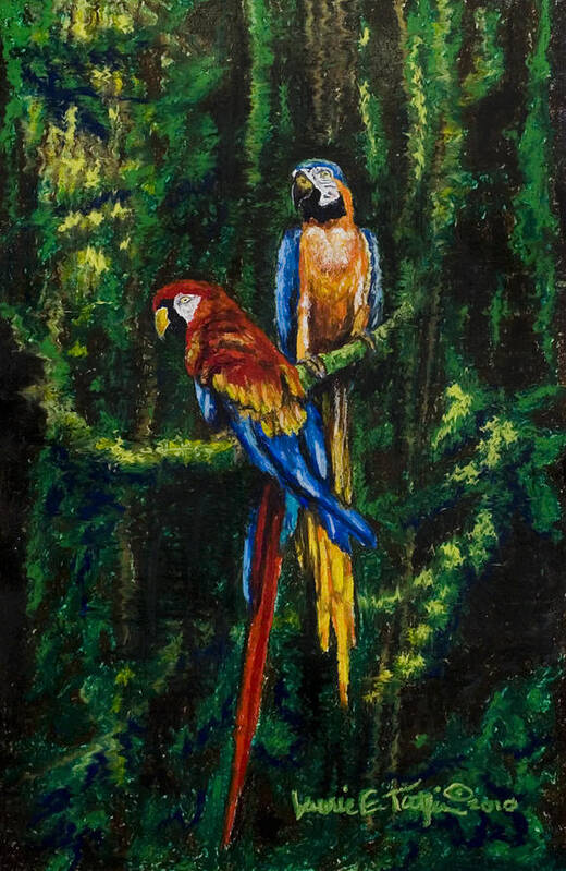 Macaws Art Print featuring the pastel Two Macaws in the Rain Forest by Laurie Tietjen
