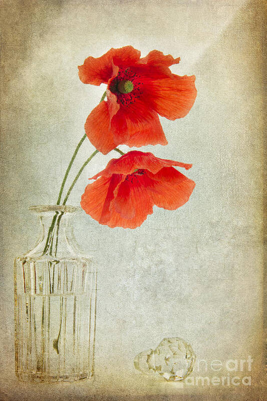 Poppy Art Print featuring the digital art Two Poppies in a Glass Vase by Ann Garrett