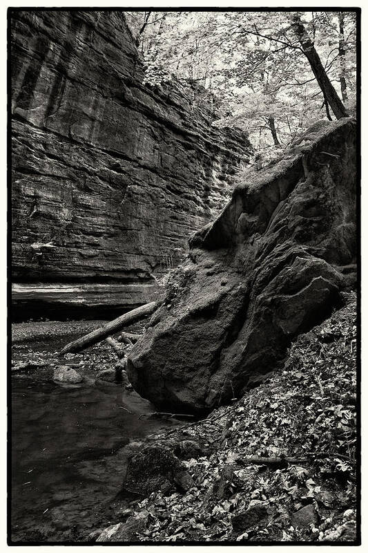 Illinois Art Print featuring the photograph Upper Dells of Mathiessen State Park by Jason Wolters