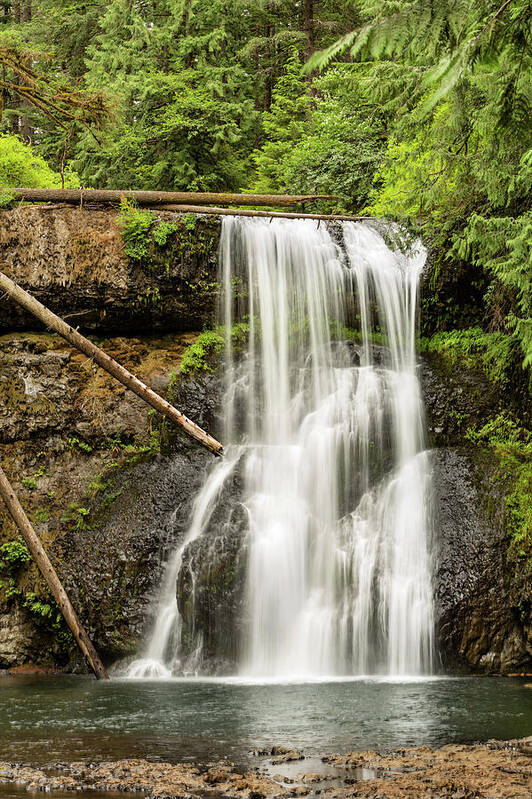Silver Creek Falls Art Print featuring the photograph Upper North Silver Falls Vertical by Mary Jo Allen