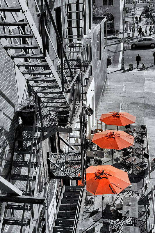 Photosbycate Art Print featuring the photograph Urban Cafe by Cate Franklyn