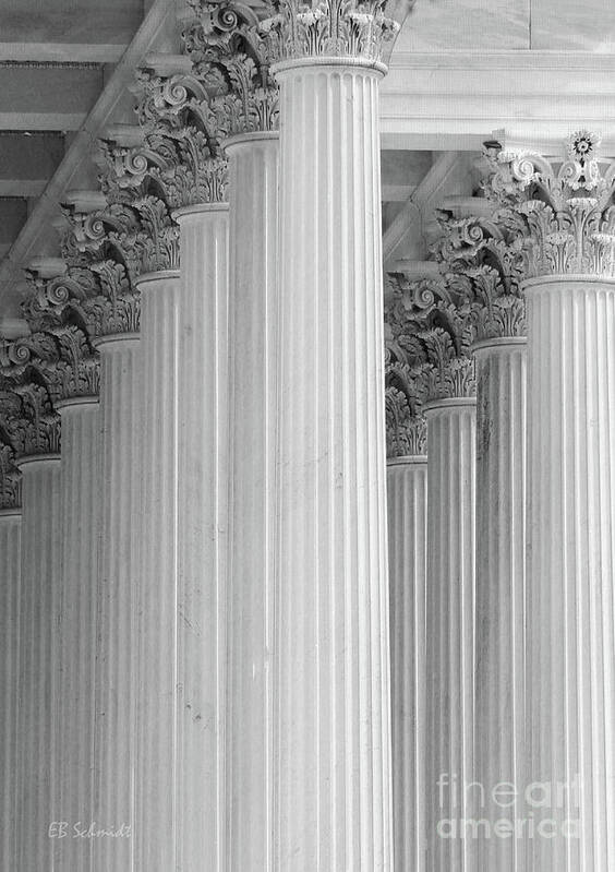 Washington Dc Art Print featuring the photograph United States Capital Columns by E B Schmidt