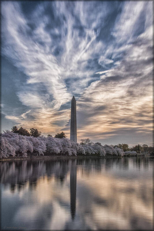 Washington Monument Art Print featuring the photograph Washington Blossom Sunrise by Erika Fawcett