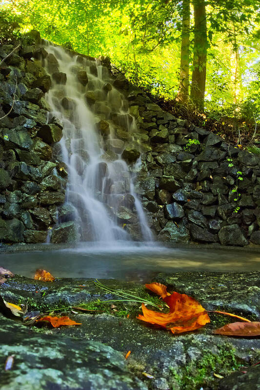 Autumn Art Print featuring the photograph Waterfall Foliage by Amanda Jones