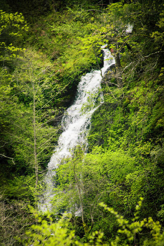 Waterfalls Art Print featuring the photograph Waterfalls by Dr Janine Williams