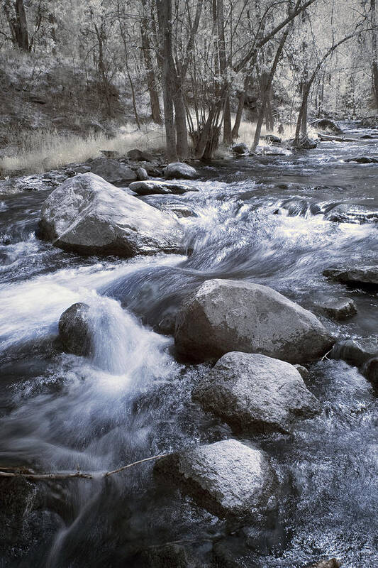 River Art Print featuring the photograph While They Sleep by Mike Irwin