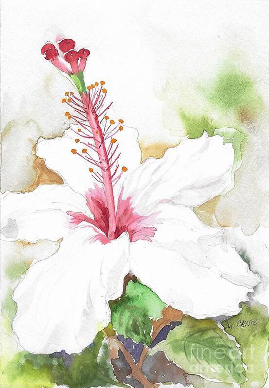 Flower Art Print featuring the painting White Hibiscus by Mafalda Cento