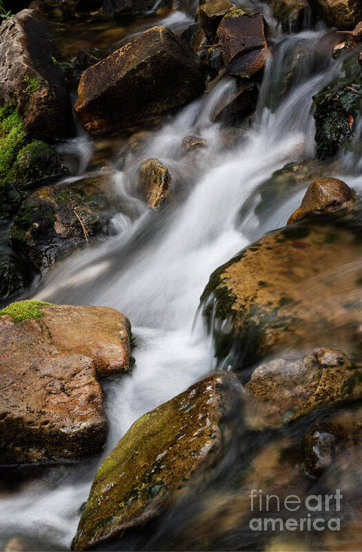 Water Art Print featuring the photograph White Water by Steve Triplett