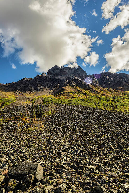 Alaska Art Print featuring the photograph Williams Peak by Fred Denner