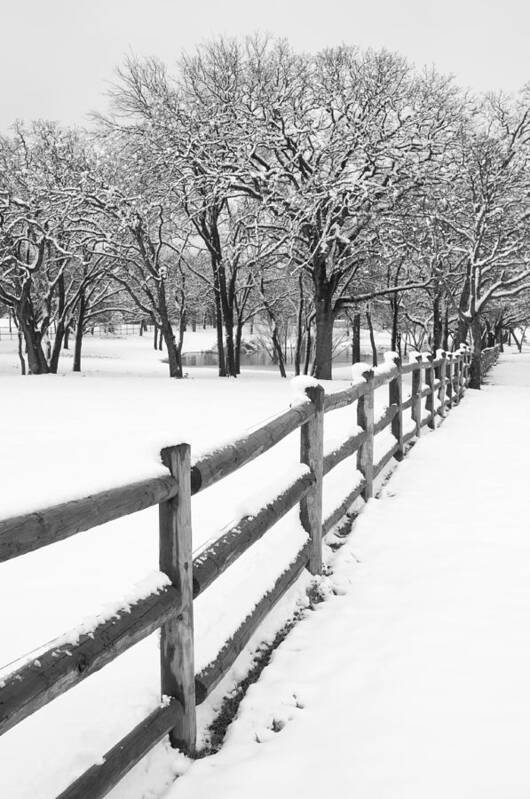 Texas Art Print featuring the photograph Winter by Mike Irwin