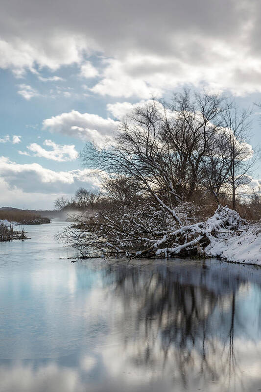 Winter Art Print featuring the photograph Winter Reflection by Sara Hudock