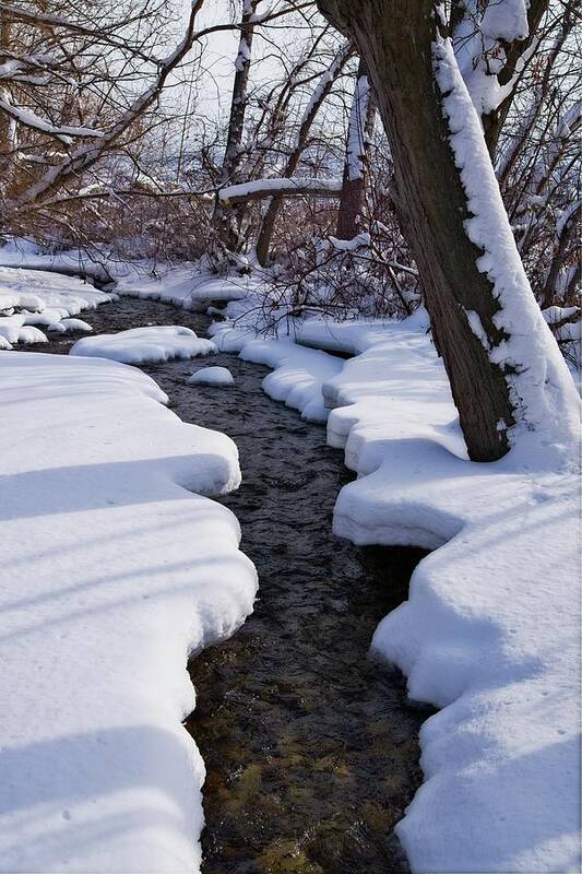 Landscape Art Print featuring the photograph Winter Stream and Shadows by Allan Van Gasbeck