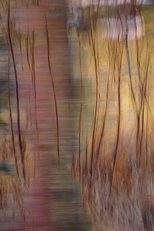 Abstract Art Print featuring the photograph Winter Willows Abstract by Deborah Hughes