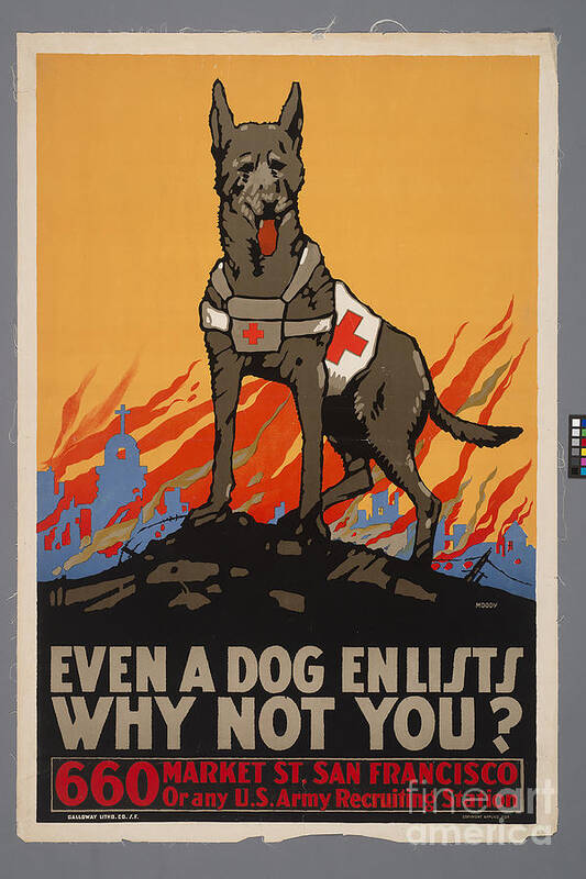 World Art Print featuring the painting World War 2 poster Even a Dog Enlists Why Not You? by Vintage Collectables