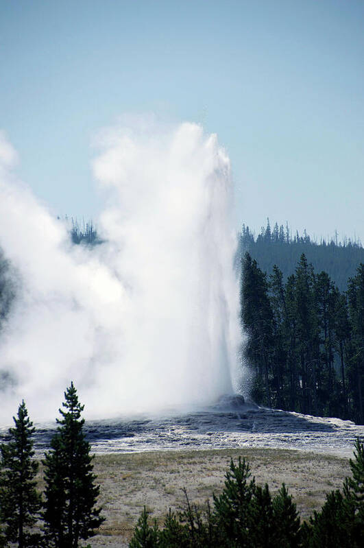 Old Faithful Art Print featuring the photograph Yellowstone Park A View Of Old Faithful Vertical by Thomas Woolworth