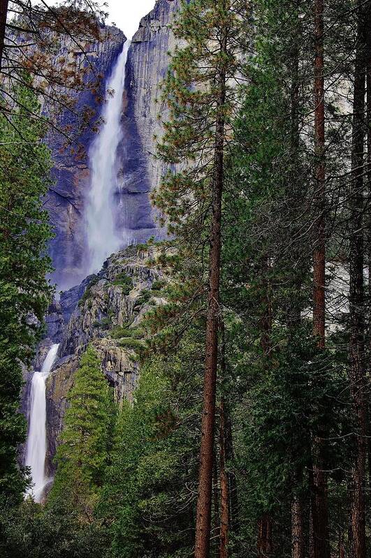 Yosemite Fallls Art Print featuring the photograph Yosemite Falls C by Phyllis Spoor