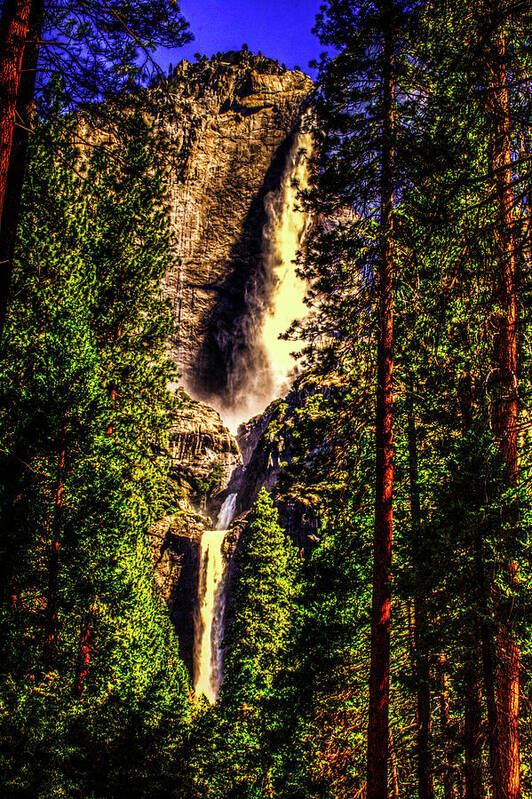 California Art Print featuring the photograph Yosemite Falls Framed by Ponderosa Pines by Roger Passman