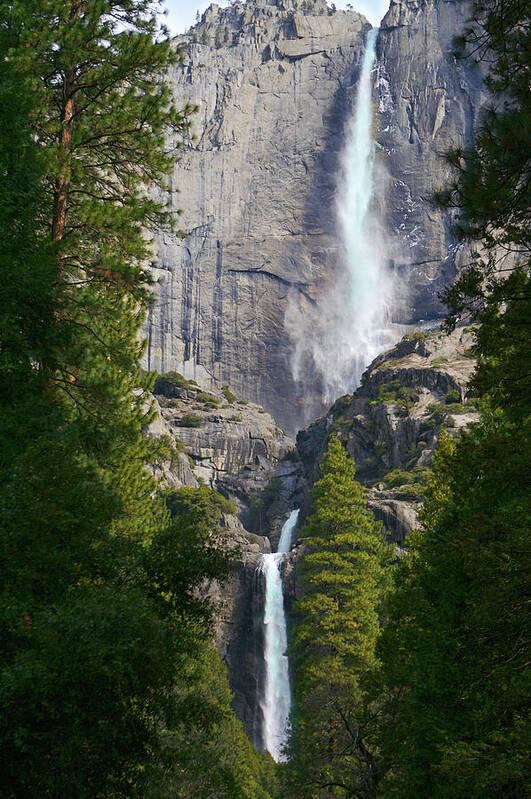 California Art Print featuring the photograph Yosemite Falls by SC Heffner