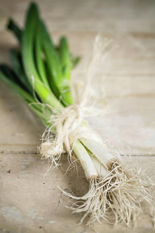 Bunch Art Print featuring the photograph Bunch Of Spring Onions Tied With #1 by Westend61