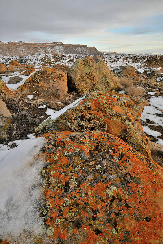 Book Cliffs Art Print featuring the photograph Colorful Boulders of the Book Cliffs #1 by Ray Mathis