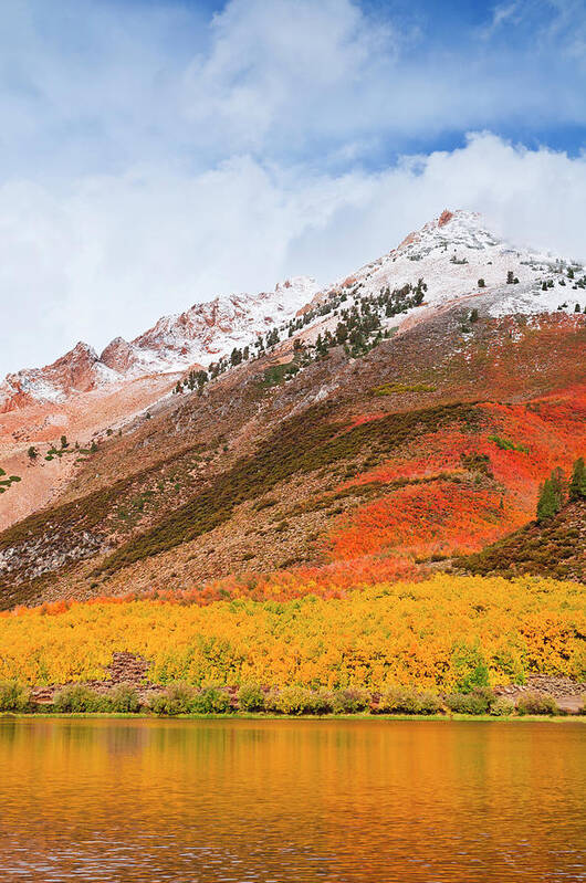 Aspen Art Print featuring the photograph Fall Color Along The North Lake Road #1 by Russ Bishop