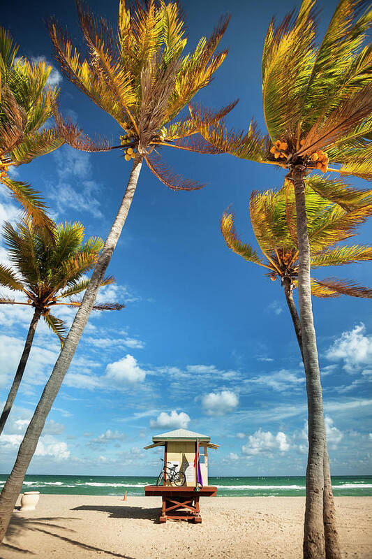 Water's Edge Art Print featuring the photograph Lifeguard Post In Fort Lauderdale Miami #1 by Pgiam